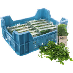 PERSIL PLAT GROSBUSCH 12X20G